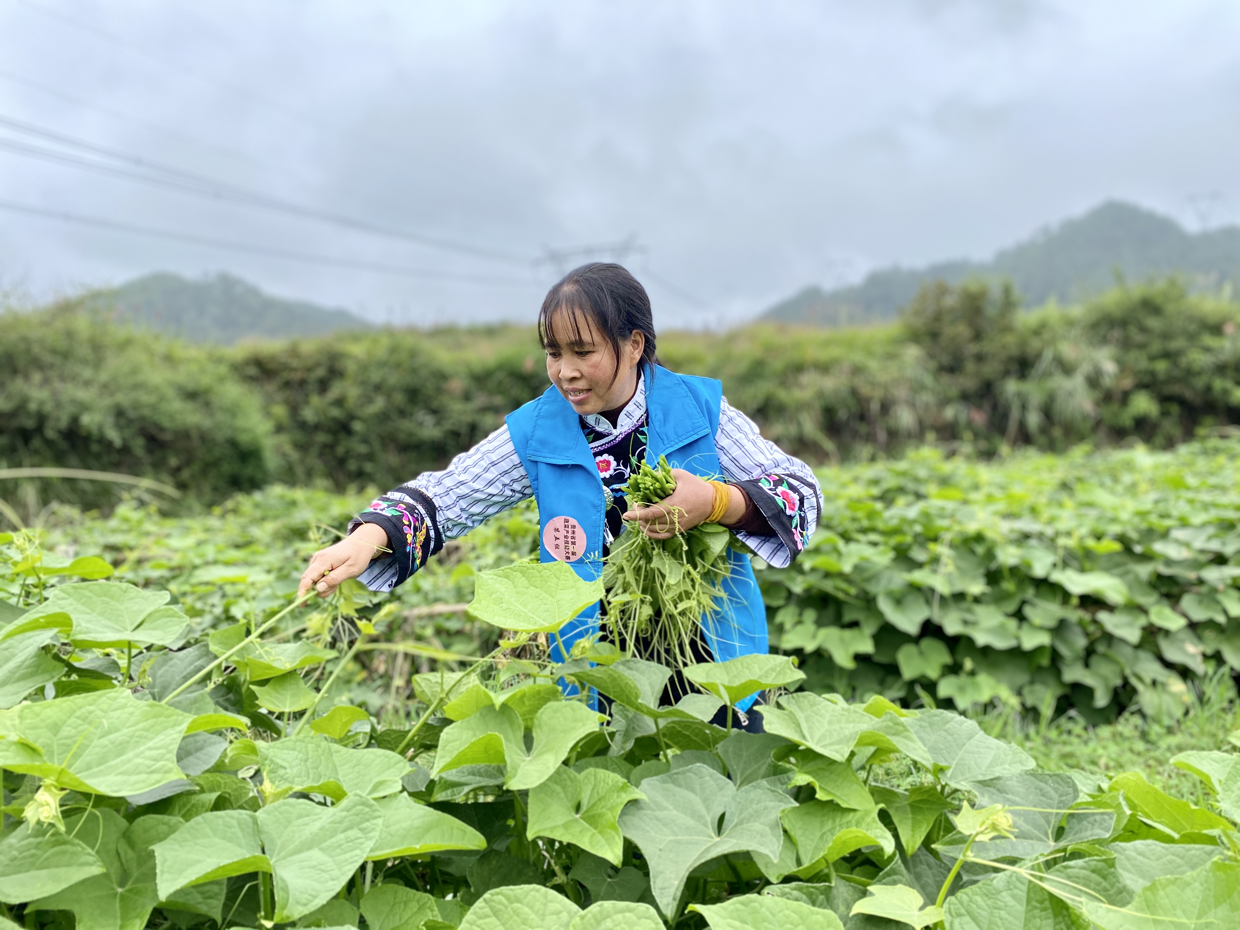 1675070785438173.jpg 微信图片_20200927225541.jpg