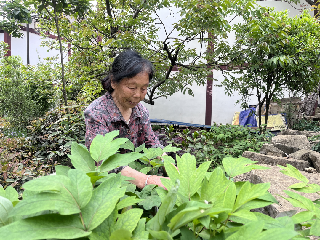 黔西市林泉镇海子社区杨庆兰老人在自家院子打理花草.jpg